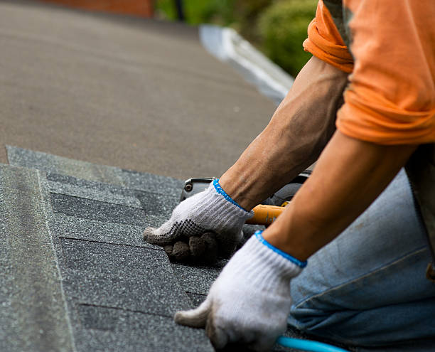 Roof Gutter Cleaning in Winfield, MO