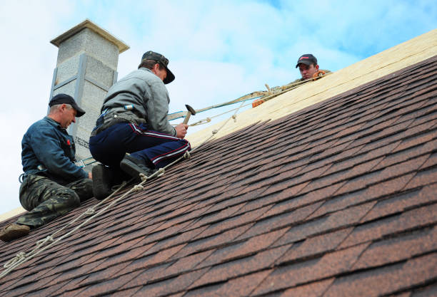 Best Roof Gutter Cleaning  in Winfield, MO