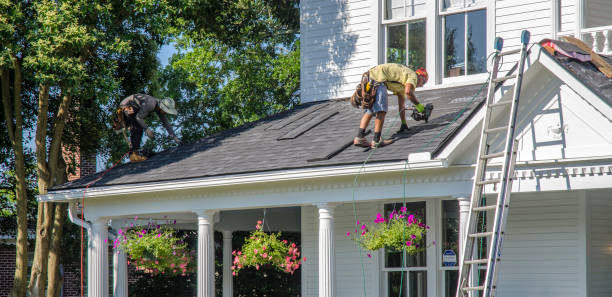 Best Metal Roofing Contractor  in Winfield, MO